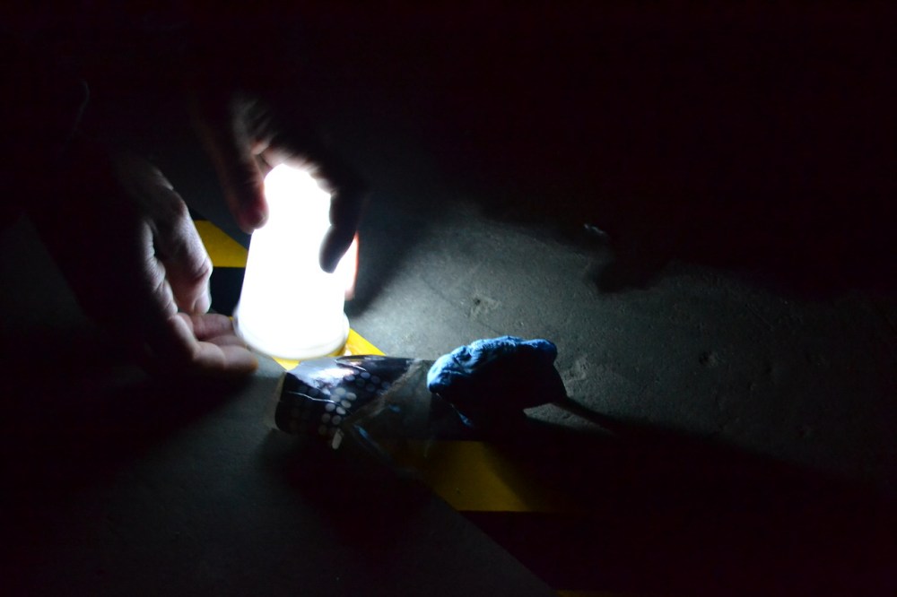 tumblr_n1191rnPyI1tt1tyfo2_r1_1280